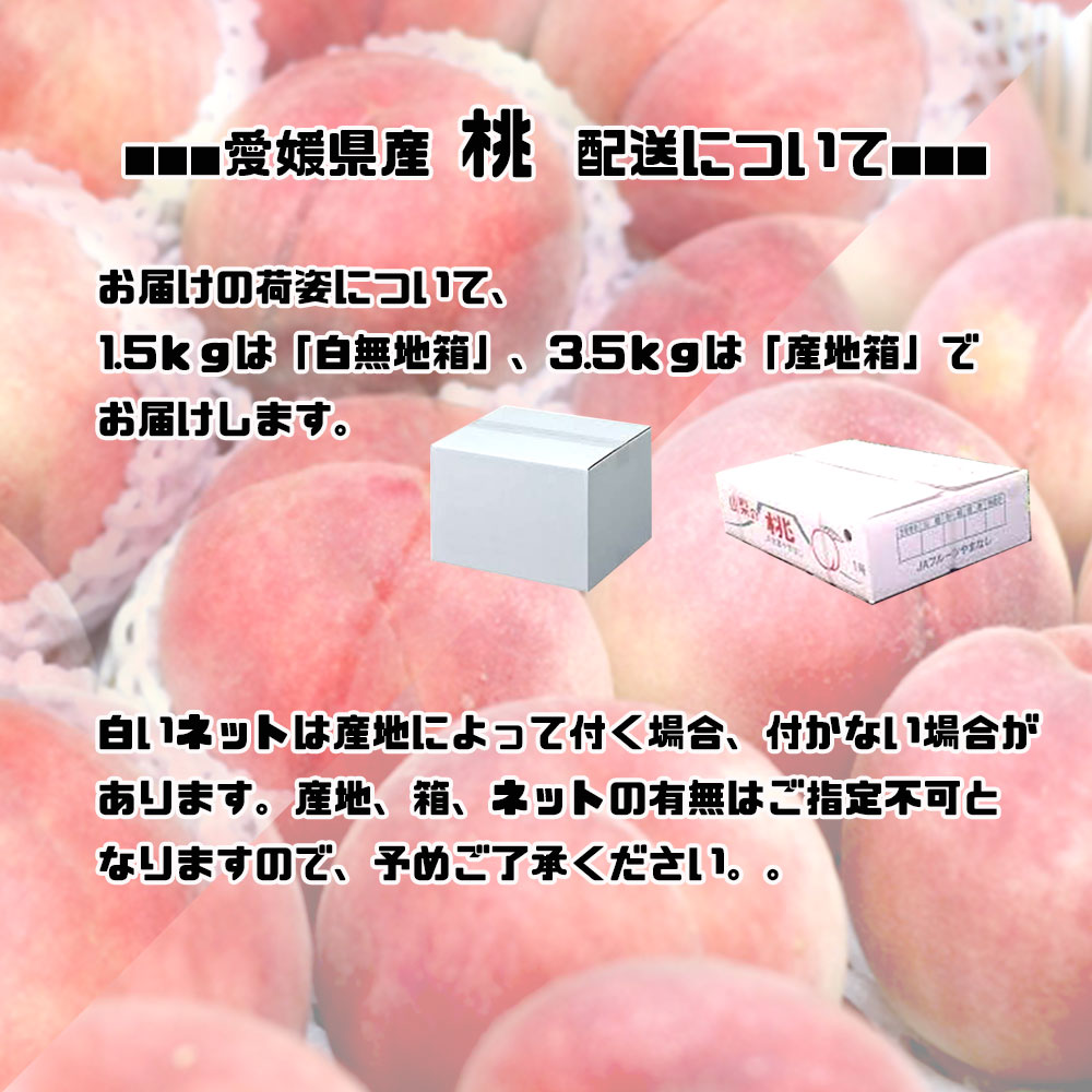 もも 桃 品種おまかせ 3 5ｋｇ 贈答 詰め合わせ 愛媛県産 送料無料