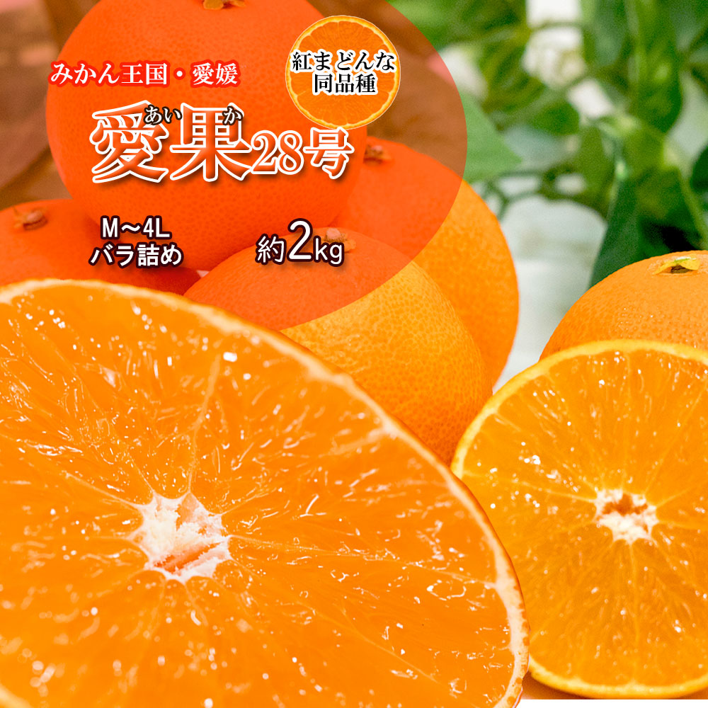 楽天市場】愛果28号 紅まどんな 家庭用 みかん 箱買い サイズ不揃い 約