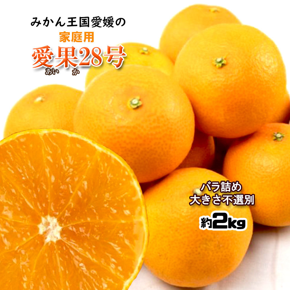 愛媛県　愛果28号　15kg 完売】甘さ濃厚！愛果28号 | エコチョク