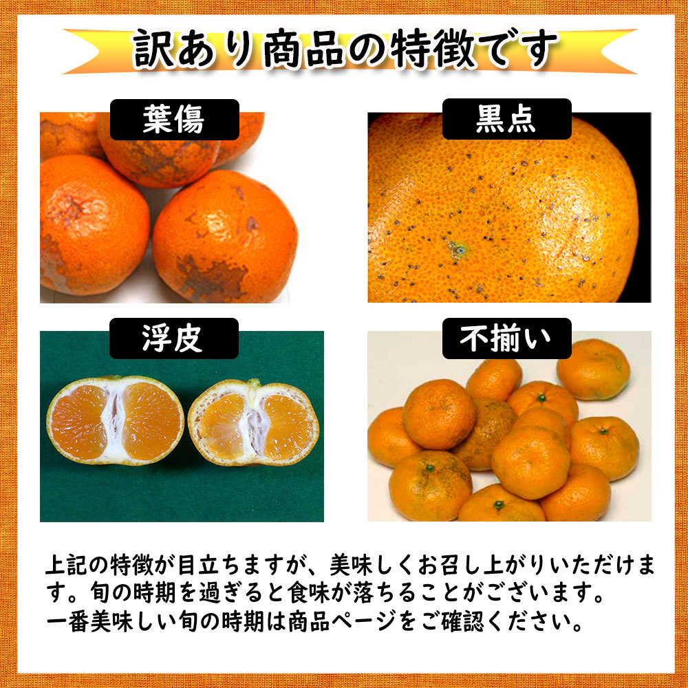ネーブル オレンジ 栄養