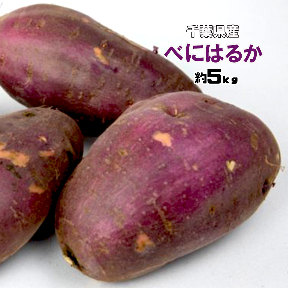 楽天市場】【送料無料】千葉県産（JAかとり）さつまいも 千葉