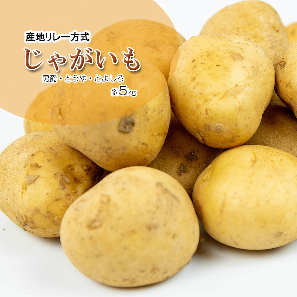 maki…じゃがいも30キロ imgrc0085234172.jpg