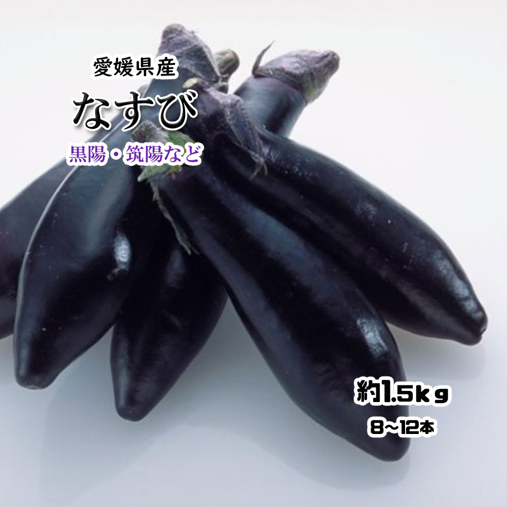 楽天市場】熊本県産 赤茄子 ひごむらさき 1本【赤なす 赤ナス