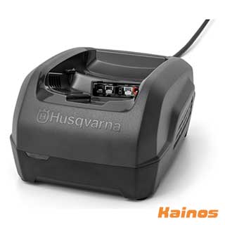 ハスクバーナ(husqvarna) てっとり早い申し受ける器 【QC250 (967970104)】  (乾電池 申し受ける器 申し受ける式物の具 園芸 ガーデニング 進め方 物の具 林業 造園) 充電器-電池-家電
