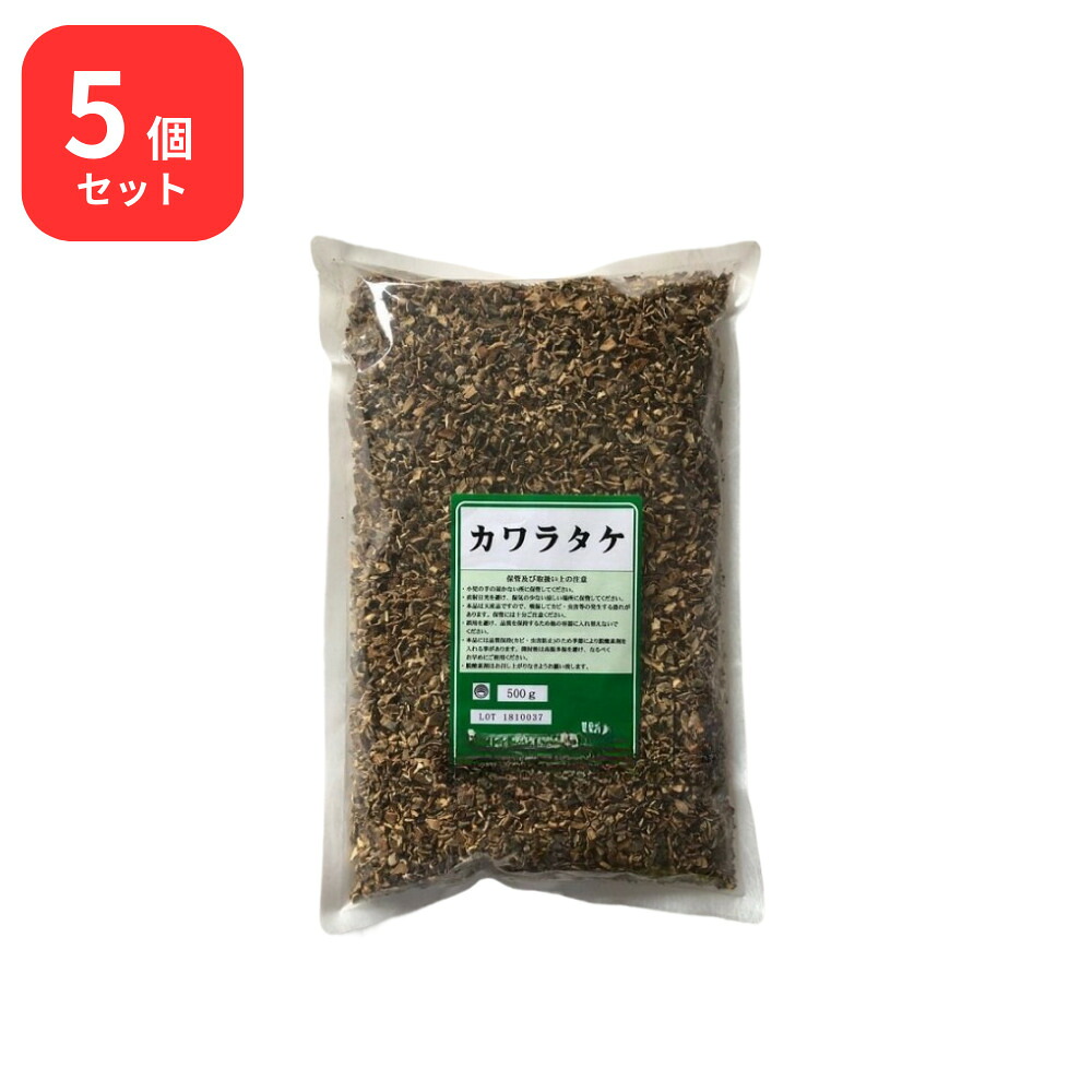 【5個セット】 小島漢方 カワラタケ 刻 500g 寄性竹 キセイタケ