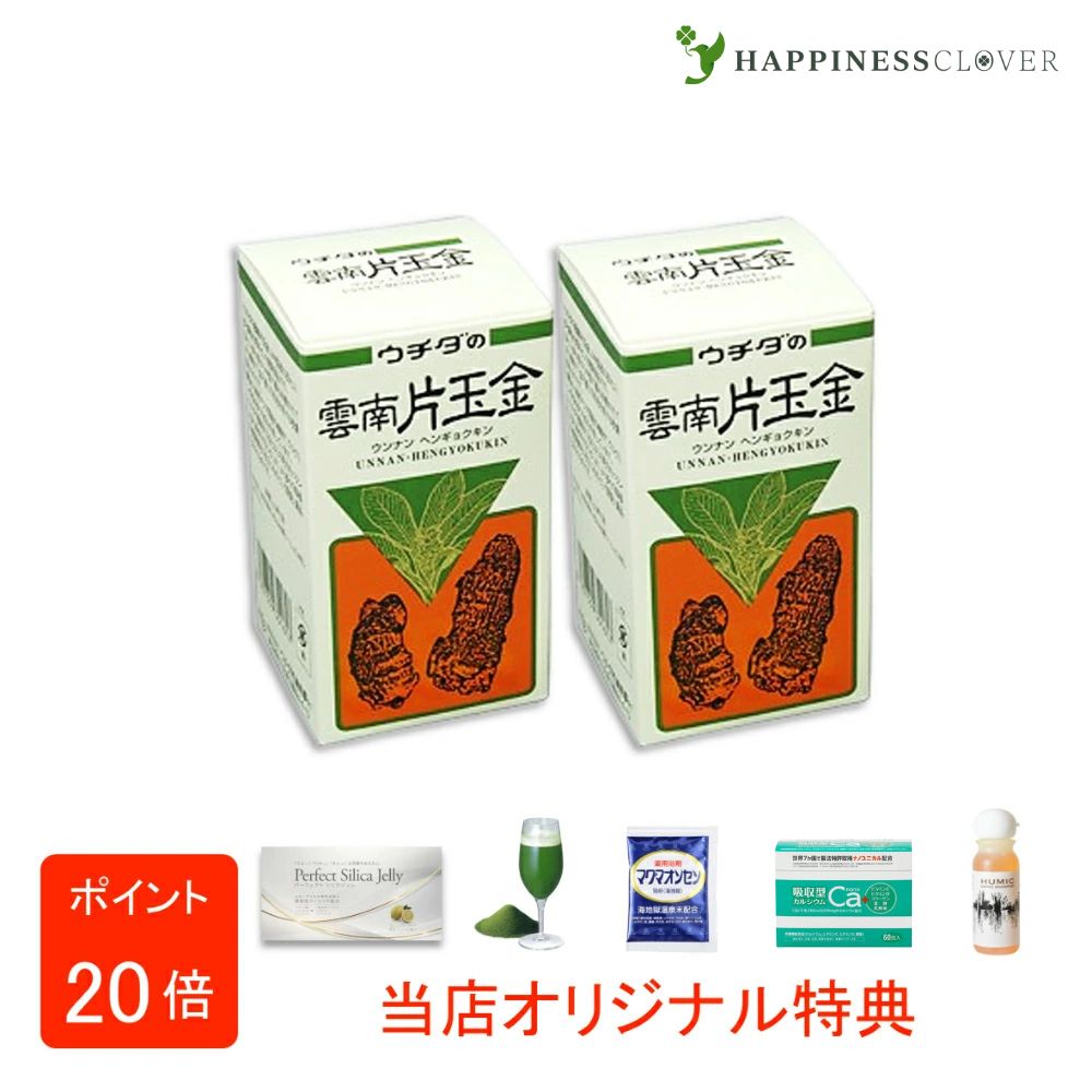 今季注目 あす楽対応  【MMLV4TA0H6Z】 限定デザイン