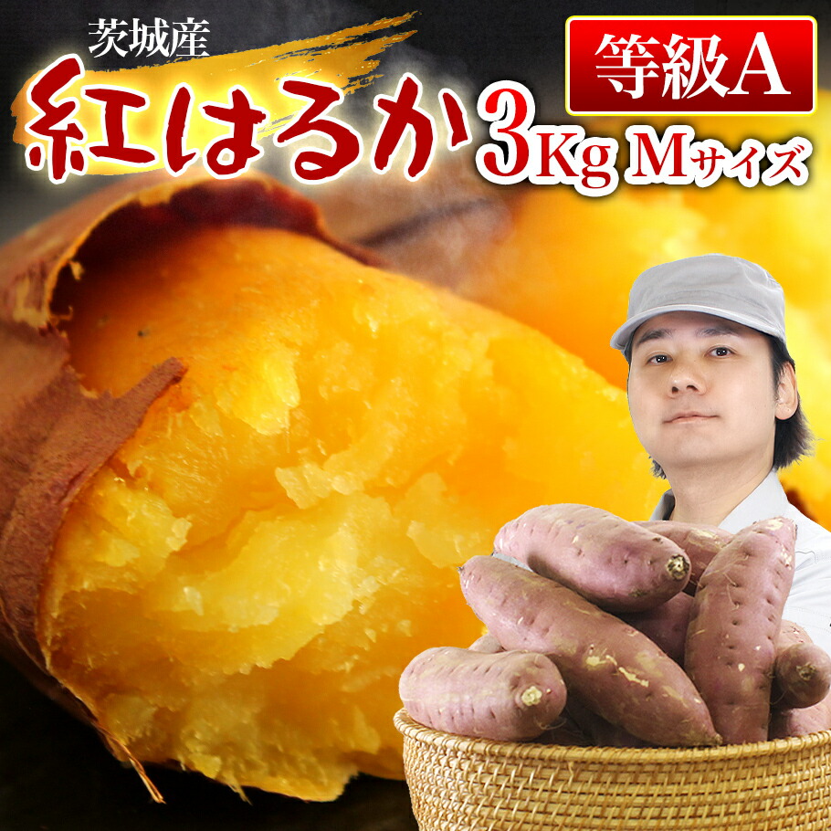 楽天市場】【送料無料】 茨城県産（マルワ）さつまいも 紅はるか A等級