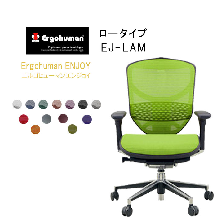 魅力の Ej Lam ロータイプ エルゴヒューマンエンジョイ Basic Ergohuman ハイブリッド 肘付 ロータイプ 高機能 T001 Jg エルゴヒューマン 送料無料 Qsm 260 チェア メッシュバック 高機能チェア Www Chiripalgroup Com