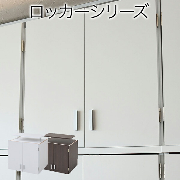 上質 上置 ホワイト ダーク システムロッカー タンスシステムロッカー 衣類収納 クローゼットm031-mtf3004 sogelec.