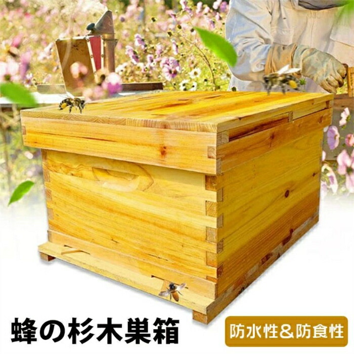 巣箱箱 愛玩動物 愛玩動物グッズ 虫けら 繁殖仕掛ける 養蜂箱養蜂物の具蜂みつ巣箱箱 蜜蜂 仕掛ける蜂鳥小屋7/ 10一こま 蜂の鳥小屋と御先棒 蜂みつGK みつばち鳥小屋 耐久性のあります 雨合羽性と防食性 杉木巣