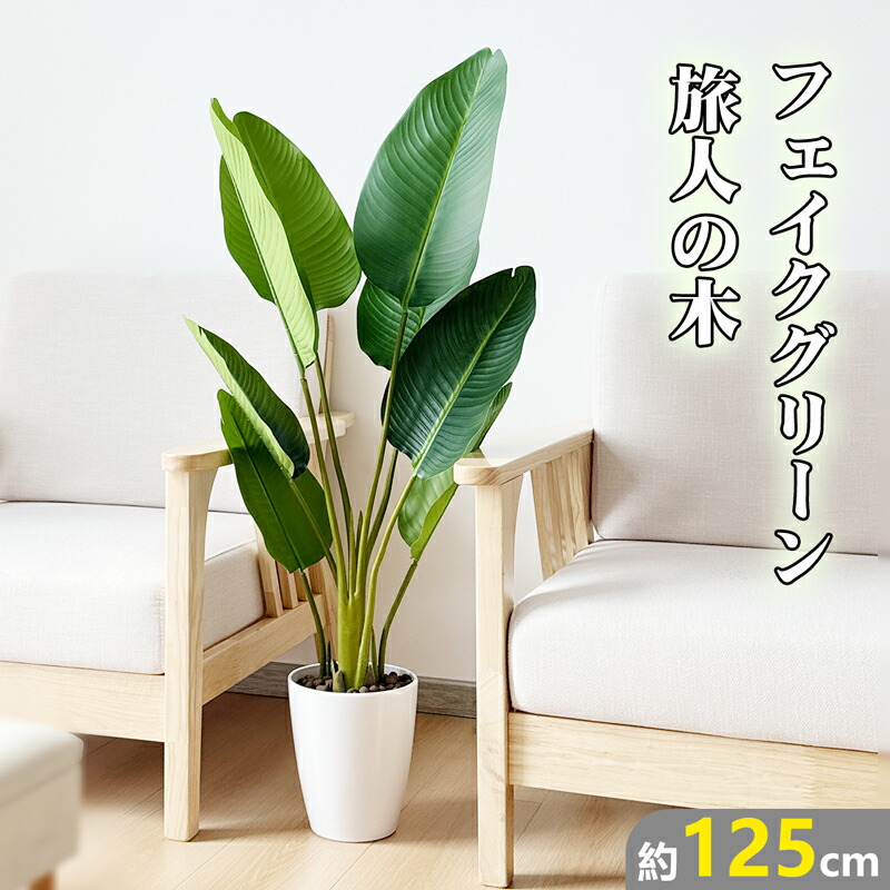 楽天市場】[IKEA/イケア/通販]FEJKA フェイカ 人工観葉植物, 室内/屋外
