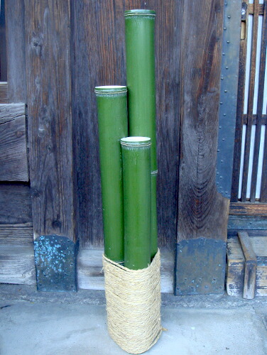 門松用青竹　6本　120cm 笑い竹　現品処分 楽天市場】□天然素材 門松(カドマツ)3本竹 青竹(笑い竹)1尺
