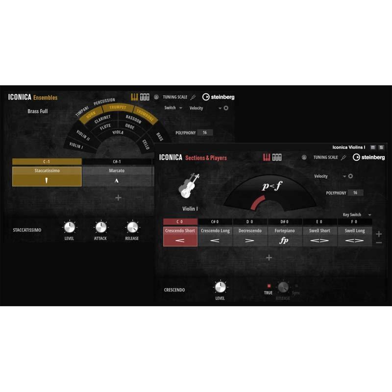 スタインバーグ Iconica Opus Steinberg DTM ソフトウェア オーケストラ音源《ダウンロード版》