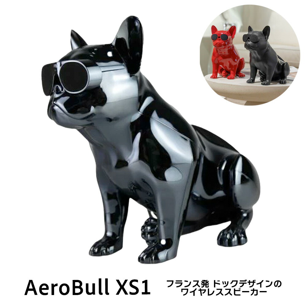 AeroBull HD1 ワイヤレススピーカー　クロームシルバー 楽天市場】AeroBull HD1 エアロブル ワイヤレススピーカー