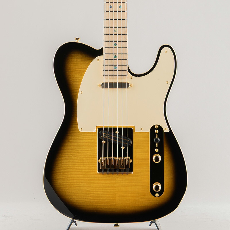 Fender フェンダー Richie Kotzen Telecaster/ Brown Sunburst/Maple Fingerboard