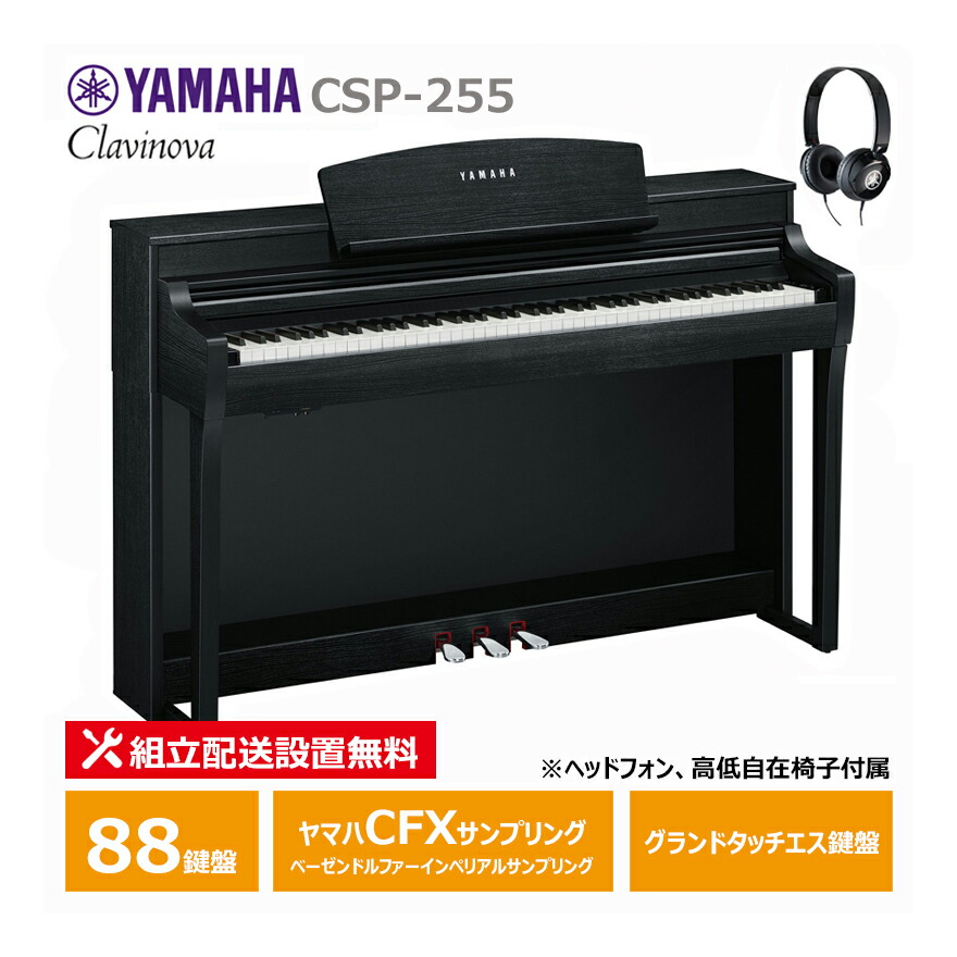 csp255bq1.jpg