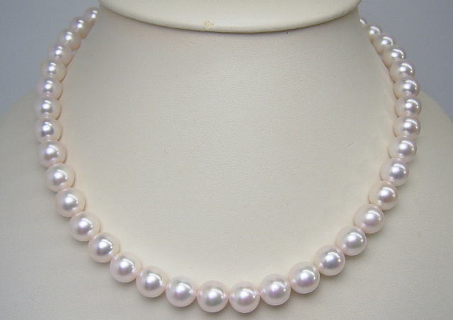 Miki Pearl Oyster Necklace Pierced Earrings Ball Ako And Real Pearl Oyster Necklace Set K14wg Pierced Earrings Free Shipping Easy