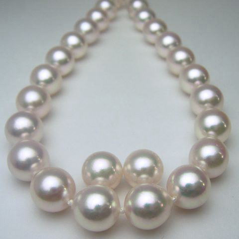楽天市場】[真珠科学研究所 オーロラ天女 鑑別書付き] アコヤ花珠真珠