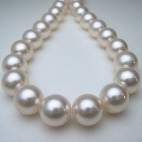 楽天市場】アコヤ真珠 ネックレス 10.0-10.8mm SV925 真科研鑑別書付