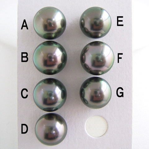 楽天市場】南洋白蝶真珠ルース(ナチュラルゴールド)【11mm-12mm