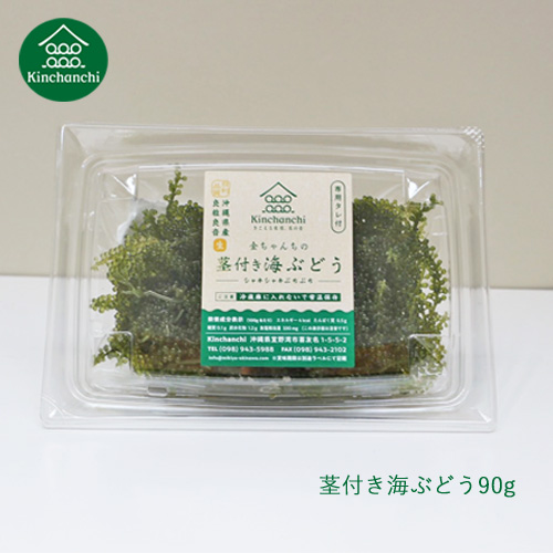 楽天市場】茎付き海ぶどう２kg（タレ無し）送料無料 業務用 飲食店等