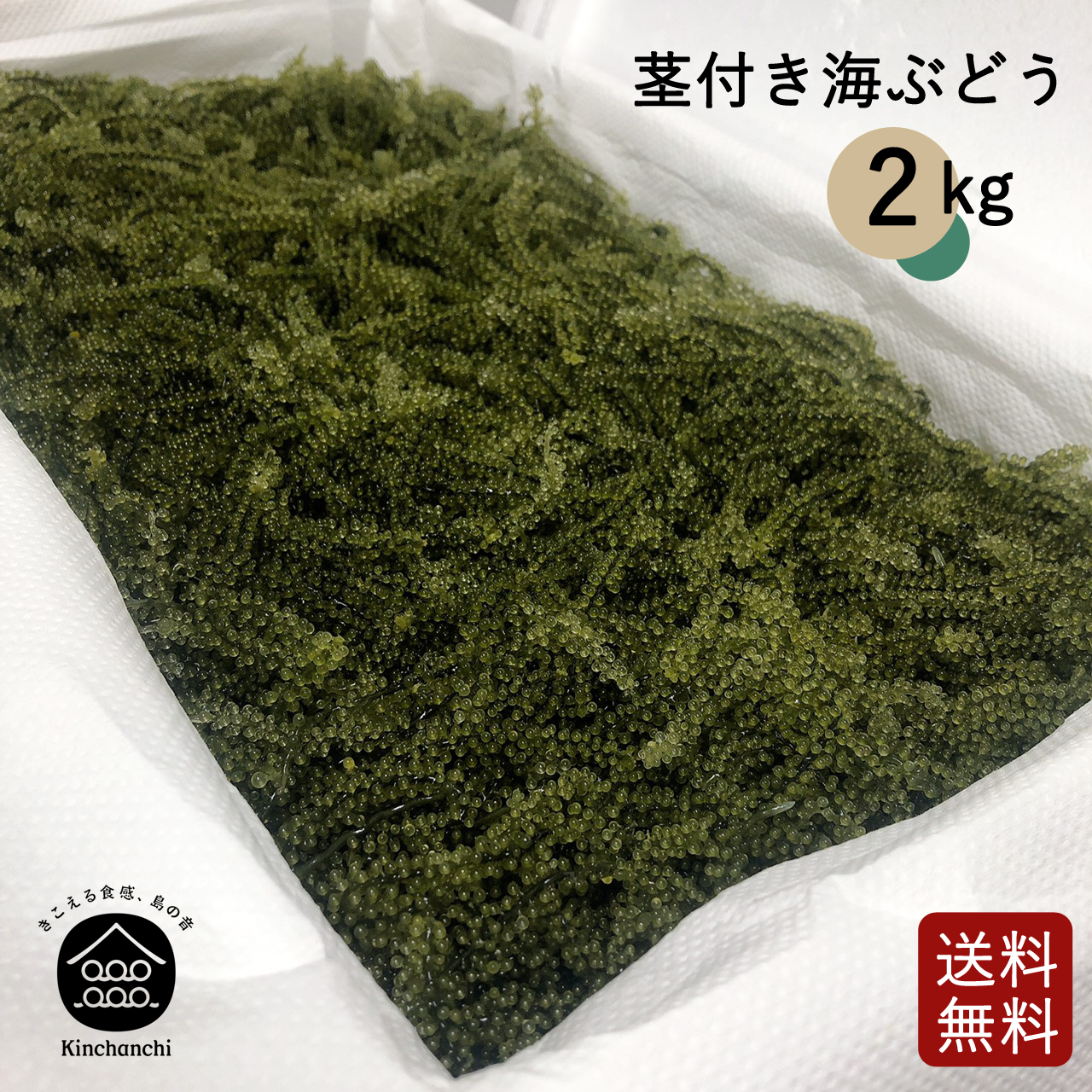 楽天市場】【生】海ぶどうたっぷり入って300g（100g×3パック）小分け