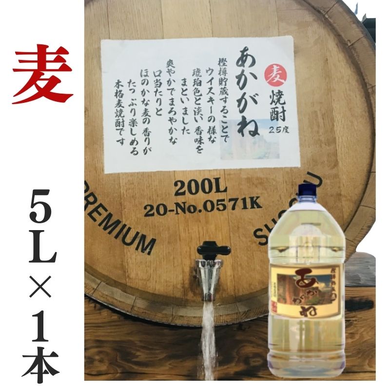 ふるさと納税 愛媛県 新居浜市 米焼酎 家飲み「歓喜」10L【愛媛朝詰め