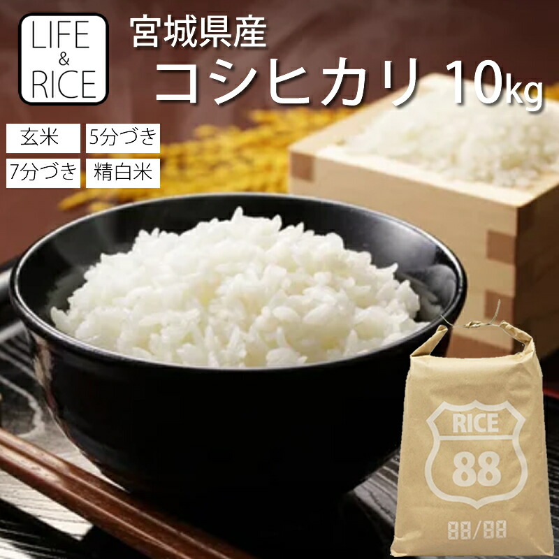 令和6年産コシヒカリ玄米10キロ白米10キロ