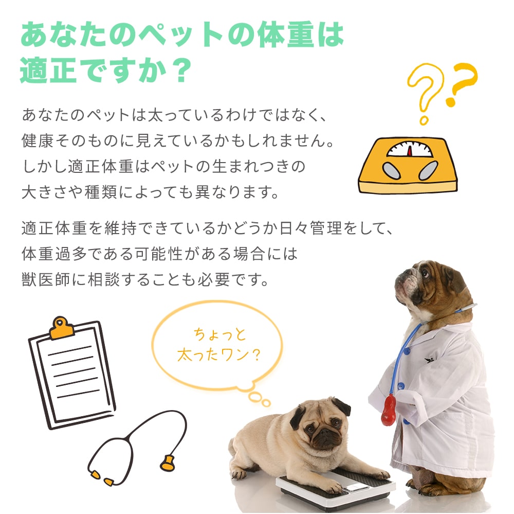 楽天市場 ペット用体重計 体重管理 ペット ペット体重計 デジタル体重計 ペット用品 犬 猫 うさぎ デジタル表示 子犬 小型犬 健康管理 肥満対策 介護 スケール ペット用 計量 薄型 風袋 返品保証 Milasic