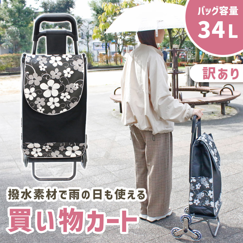 楽天市場】【特典あり】cocoro コ・コロ 4輪カート プレイノ 18L