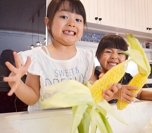 A ベビーコーン　朝採れ❗️ヤングコーン 200本以上　おまけ付き　新鮮　野菜 旬 aベビーコーン 朝採れ❗️ヤングコーン 200本以上 おまけ付き