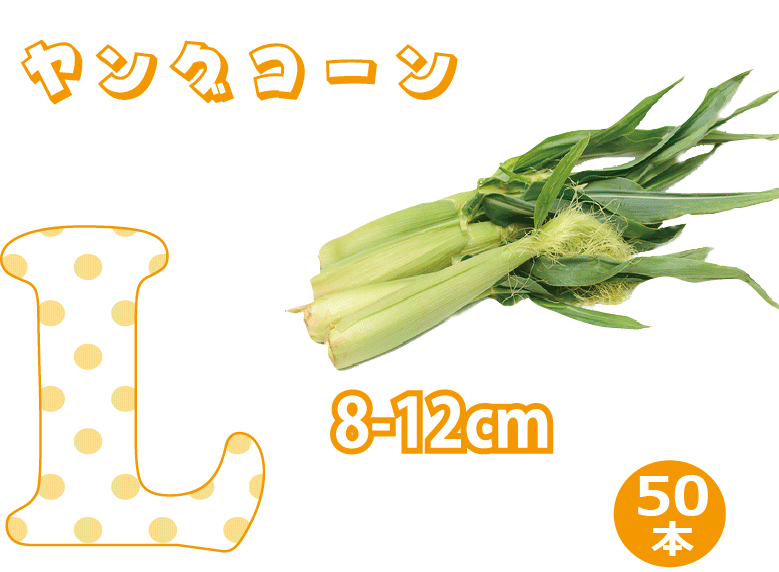 楽天市場】とうもろこし 食べくらべ 6本セット 最甘品種 ドルチェドリーム3本と 白いトウモロコシ3本 北海道より早い7月10日頃からの発送 生で食べられる 甘い スイートコーン お中元 ギフト プレゼント お取り寄せ 送料無料 DM1 : ひるぜん農園 楽天市場】とうもろこし 食べくらべ 6本セット 最甘品種 ドルチェドリーム3本と 白いトウモロコシ3本 北海道より早い7月10日頃からの発送 生で食べられる 甘い スイートコーン お中元 ギフト プレゼント お取り寄せ 送料無料 DM1 : ひるぜん農園