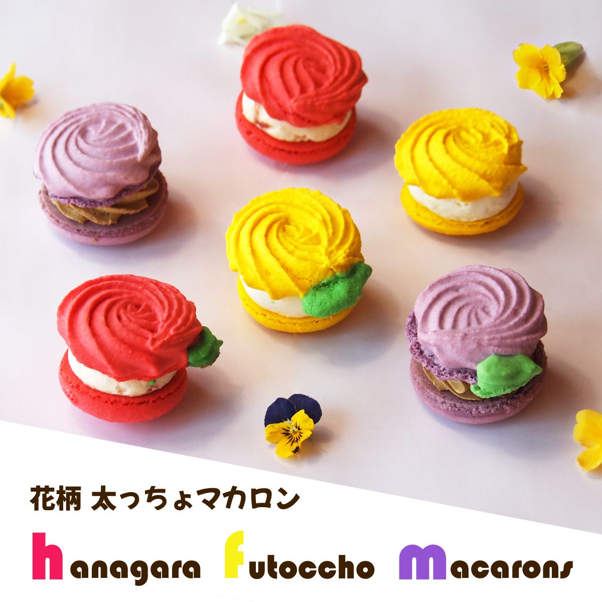 クリスマス 花 マカロン トゥンカロン 韓国マカロン スイーツ 個包装 6個入 ギフト セット 送料無料 かわいい おしゃれ 珍しい おもしろ お花 フラワー バラ マカロンケーキ マカロンタワー プレゼント いちご 紅茶 詰め合わせ お菓子 誕生日 メッセージカード お取り寄せ