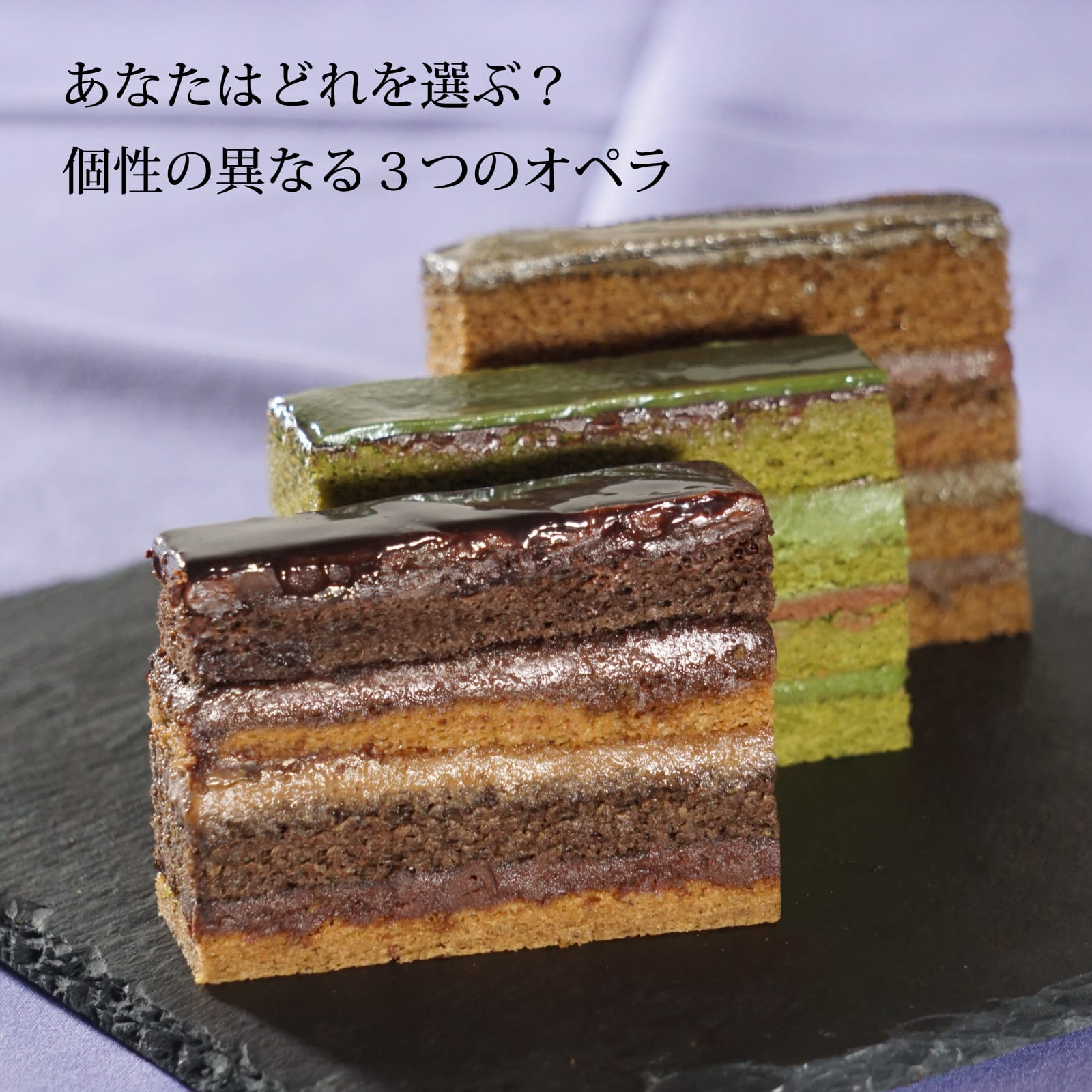チョコケーキ チョコレートケーキ 高級 オペラケーキ お歳暮 チョコ スイーツ ギフト 誕生日 お誕生日ケーキ コーヒーケーキ 抹茶ケーキ ほうじ茶ケーキ 3本セット お菓子 プレゼント ショコラ ガナッシュ お取り寄せスイーツ 送料無料 チョコレート 水引 箱入 チョコケーキ オペラ ケーキ 誕生日 ギフト 選べる コーヒー 抹茶