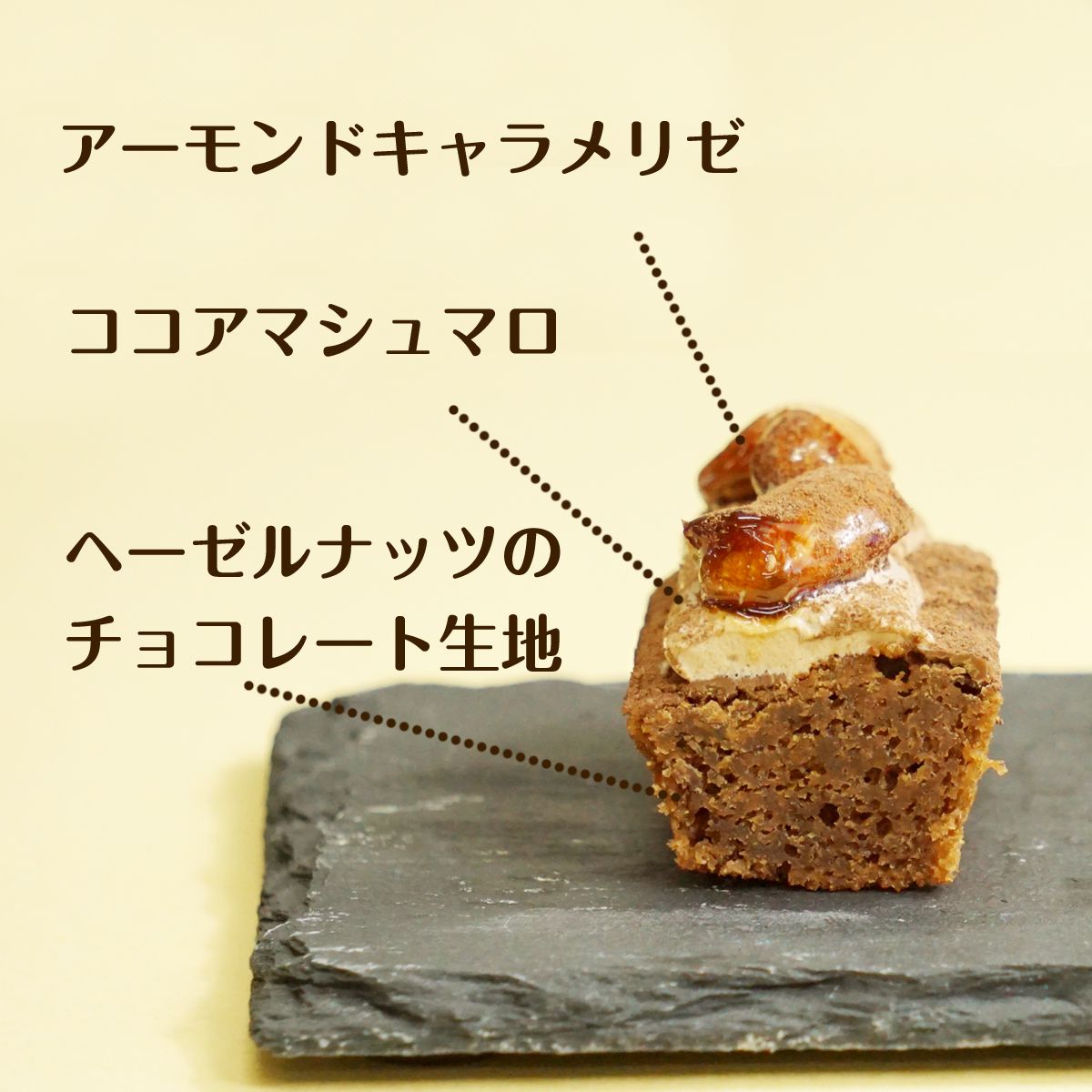 ガトーショコラ ジャンドゥーヤ かわいい スモア セット チョコケーキ スイーツ お返し 詰め合わせ ココア 個包装 マシュマロ お菓子 ギフト ホワイトデー 22 ケーキ
