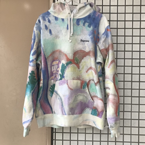 landscape hoodie supreme