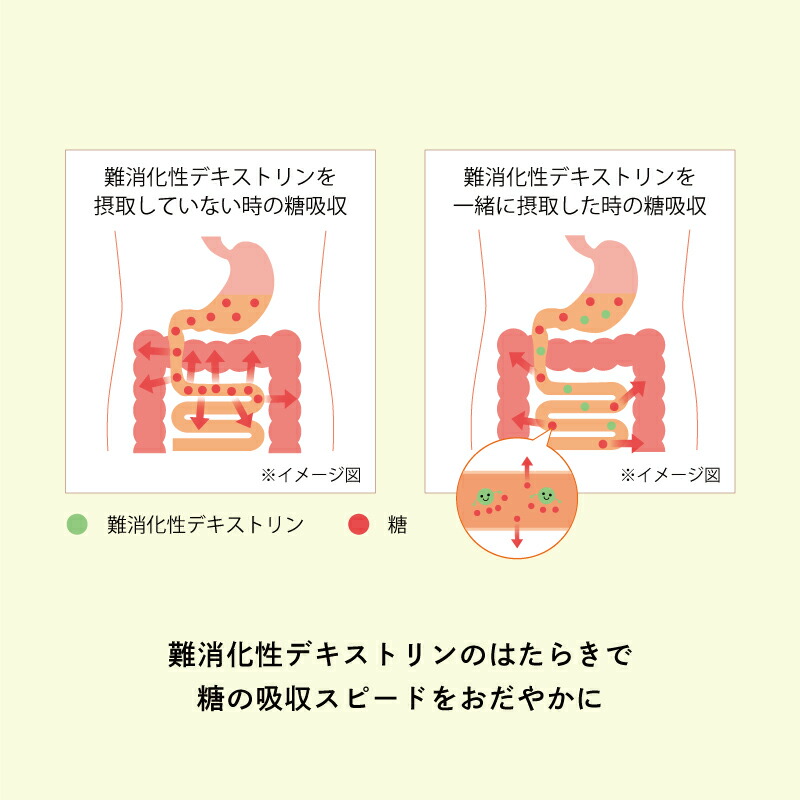 国内最安値！ フィットライフコーヒー 60包入り 1杯あたり108円 珈琲 ダイエット コーヒー 個包装 ブラック 無糖 粉 食物繊維 特保 美味しい  levolk.es