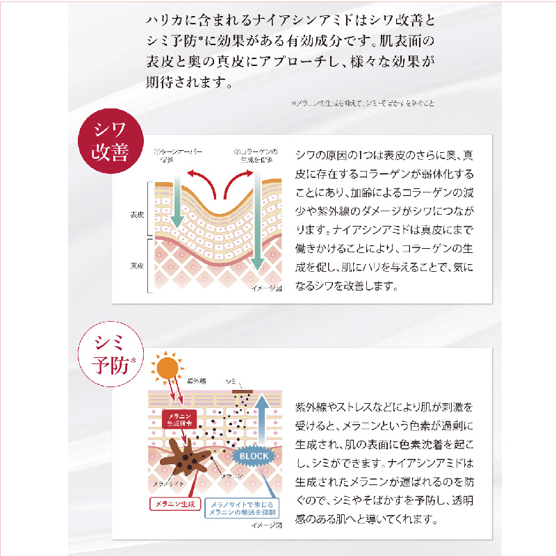 Haricaセット 薬用リンクル ホワイトモイスチャージェル＋薬用リンクル