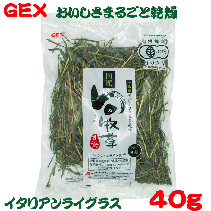 牧草,イタリアンライグラス | うさぎ専門店ラッキーハート
