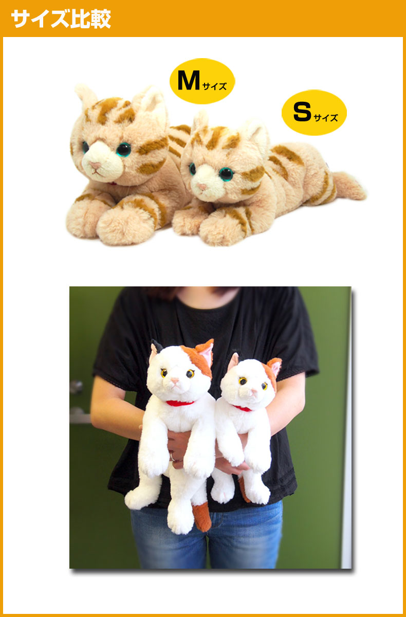 楽天市場 ひざねこ ぬいぐるみs ひざネコ ねこ 猫 おもちゃ 癒し リアル ネコグッズ ねこグッズ ネコ雑貨 ねこ雑貨 子猫 こねこ 動物 介護用にも ギフト プレゼント 誕生日 プレゼント クリスマス クリスマスプレゼント Toy Zakka Mimiy ミミー