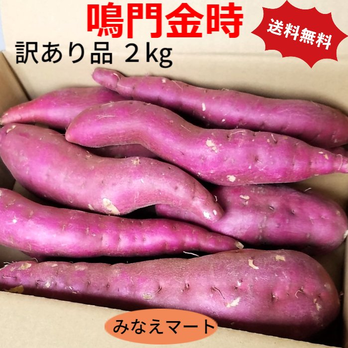 \クーポン利用で3,000円／【紀文公式】福袋セット(人気の12品詰め合わせ) 送料無料 2026 福袋 食べ比べ お試し 糖質0麺 糖質ゼロ ...