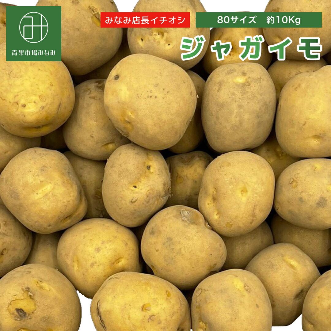 グラウンドペチカ デストロイヤー 種芋 種イモ じゃがいも Sサイズ 150個 グラウンドペチカ デストロイヤー 種芋 種イモ じゃがいも S