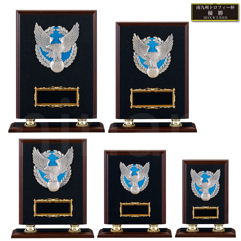 表彰楯 ワシ K5023 木製圧縮材 アンチ金属レリーフ 【化粧箱入り】【レーザー彫刻名入れ無料】 盾 南九州トロフィー