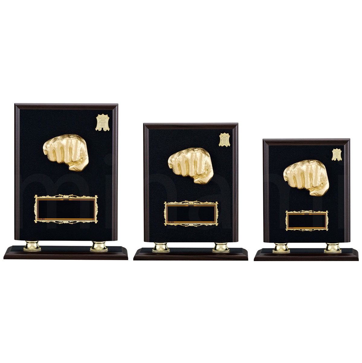 表彰楯 （空手） K5121 木製圧縮材 アルミ金属レリーフ 【化粧箱入り】【レーザー彫刻名入れ無料】 盾 南九州トロフィー