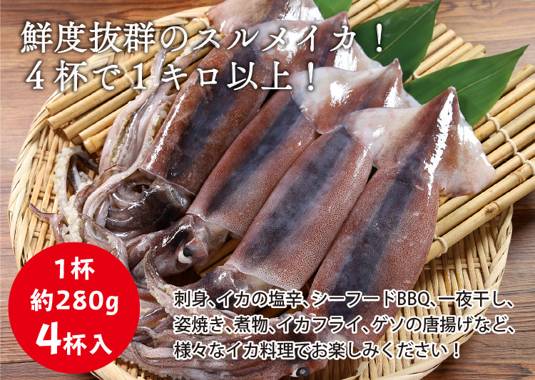 楽天市場 送料無料 国産 生食用 スルメイカ 大サイズ4杯セット 新鮮な獲れたてイカを船で急速冷凍 塩辛や刺身がお勧め いか 烏賊 みなみ本舗