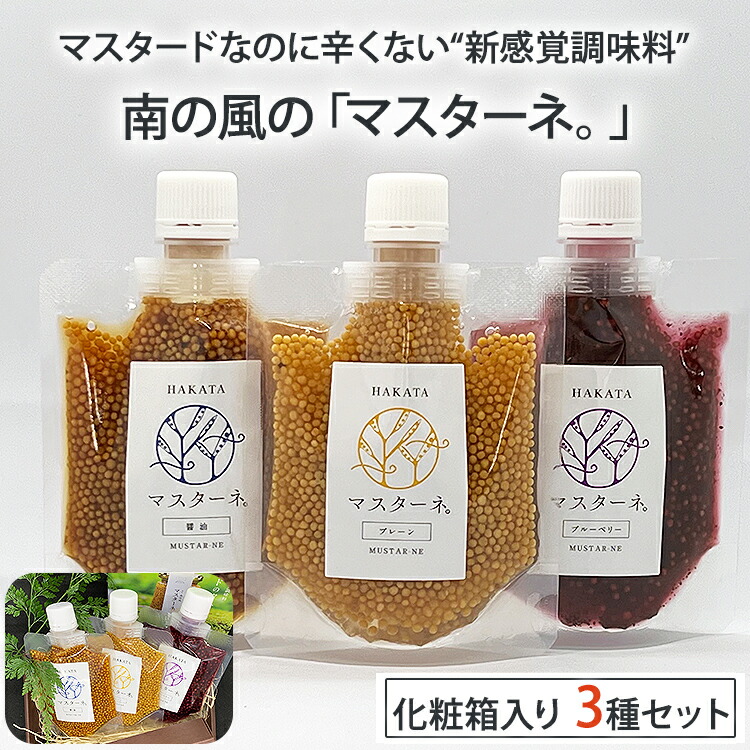 【ポイント2倍】マスターネ パウチ 3種 セット 化粧箱入り （プレーン、醤油、ブルーベリー　各120g） ギャラリー茶寮 南の風 調味料 マスタード のし対応