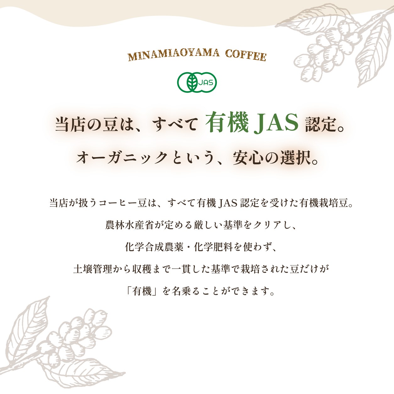 オーガニックアイスコーヒー豆 【200g/500g/1kg】 水出しアイスコーヒー 水出しコーヒー豆 水出しコーヒー粉 水出しコーヒー オーガニックアイスコーヒー粉 アイスコーヒー用豆 焙煎コーヒー