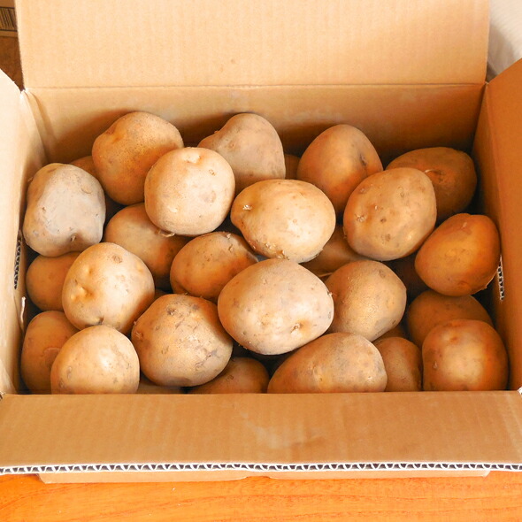 新じゃが　数量限定　10kg 箱込　04 新じゃが 数量限定 10kg 箱込 04 楽天市場】”新じゃがいも” 訳