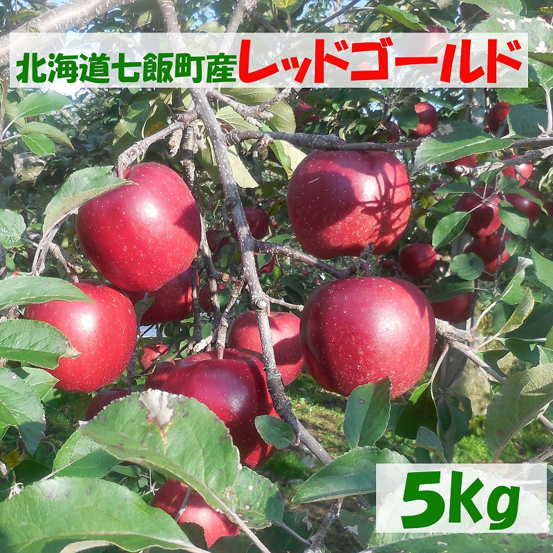 楽天市場 北海道七飯町産蜜入りりんご レッドゴールド 5kg 15 玉 送料無料 みなみ青果
