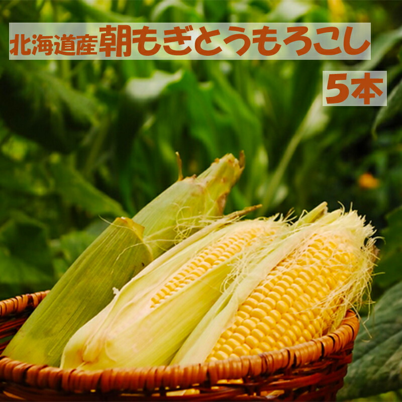 kukkymama!北海道産天然のヒトビロ4kg Amazon.co.jp: 北海道産 天然 行者にんにく 5kg (冷蔵品) 春の